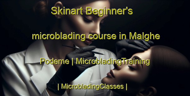 Skinart Beginner's microblading course in Malghe Podeme | MicrobladingTraining | MicrobladingClasses | SkinartTraining-Italy